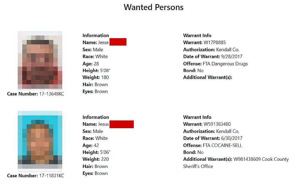 A screenshot of the wanted persons from the Illinois State Police Division of Criminal Investigation website, with details including the mugshot photo, case number, full name, sex, race, age, height, weight, hair and eye color.